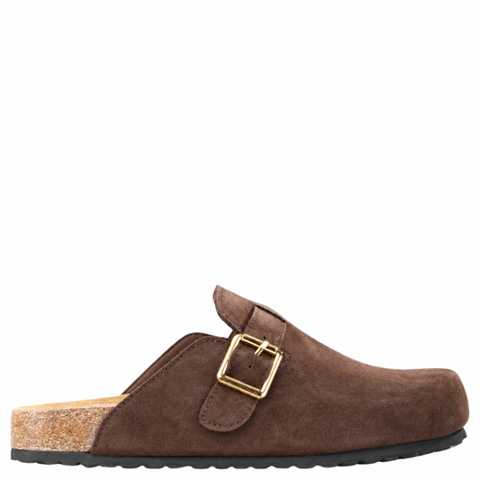Dark brown suede shoe with gold buckles